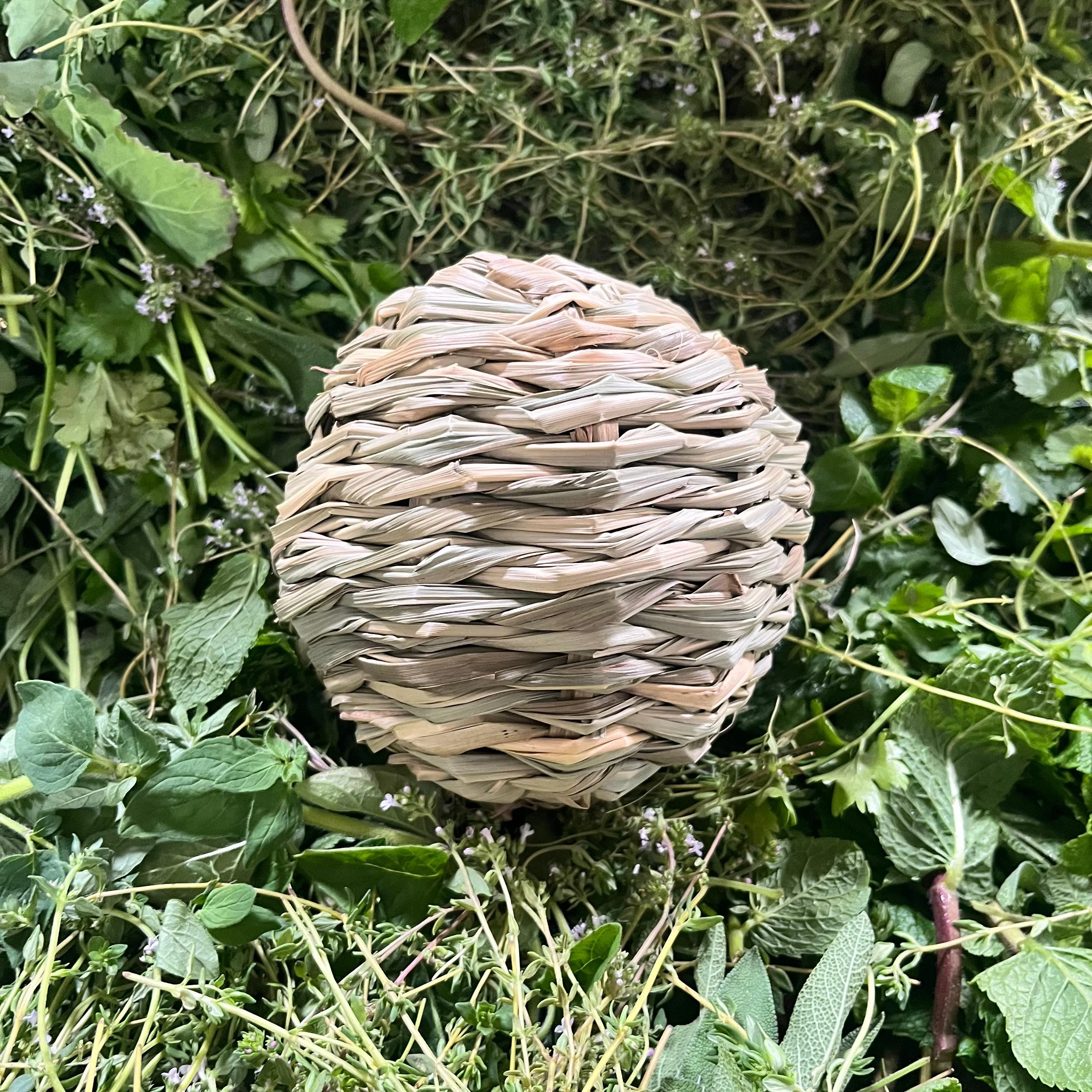 Vorschaubild 1