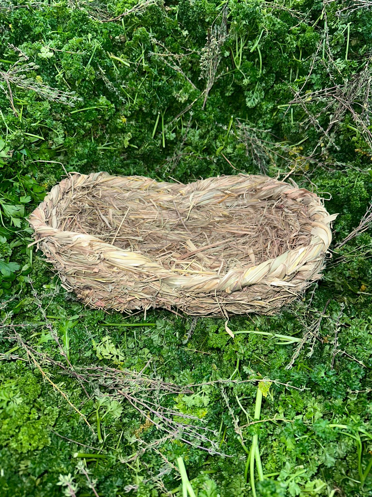 Vorschaubild 1