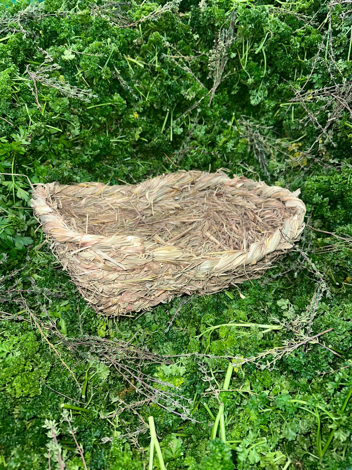 Vorschaubild 2