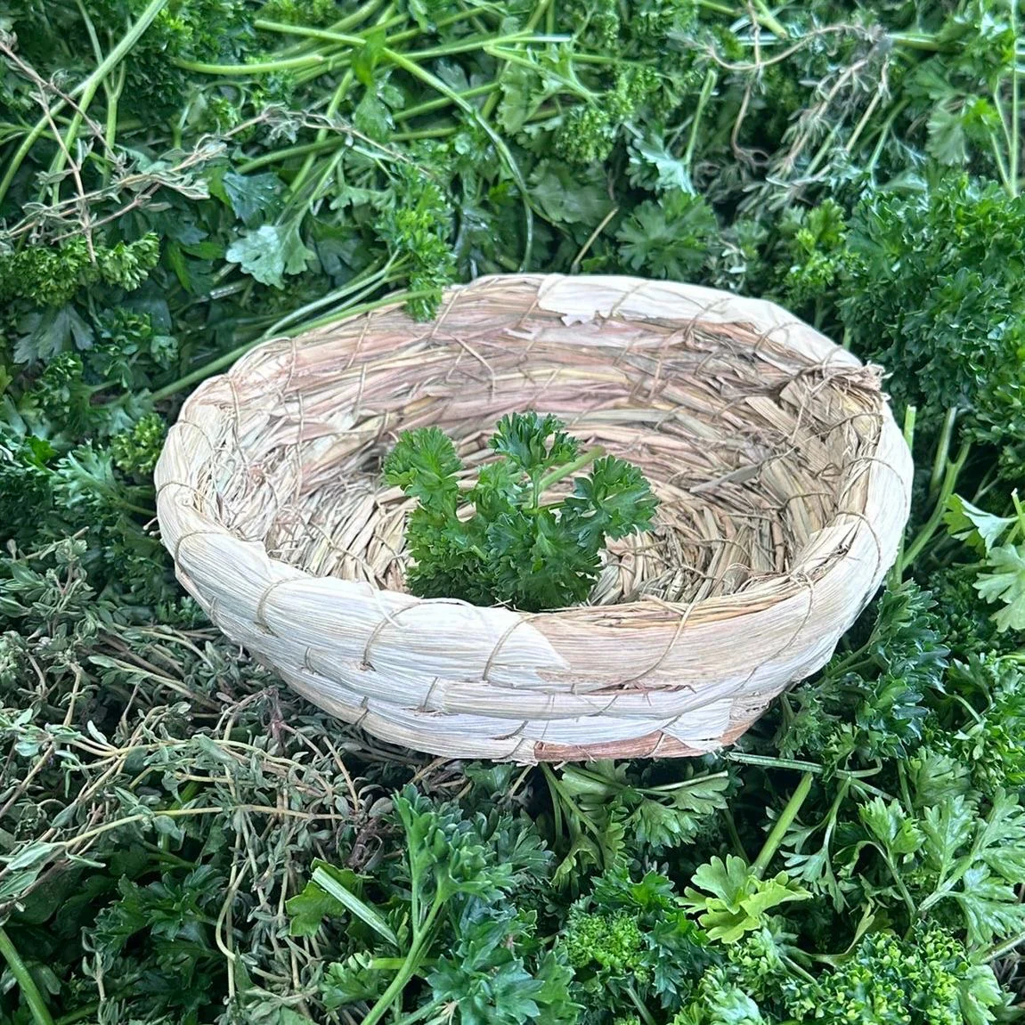 Vorschaubild 1