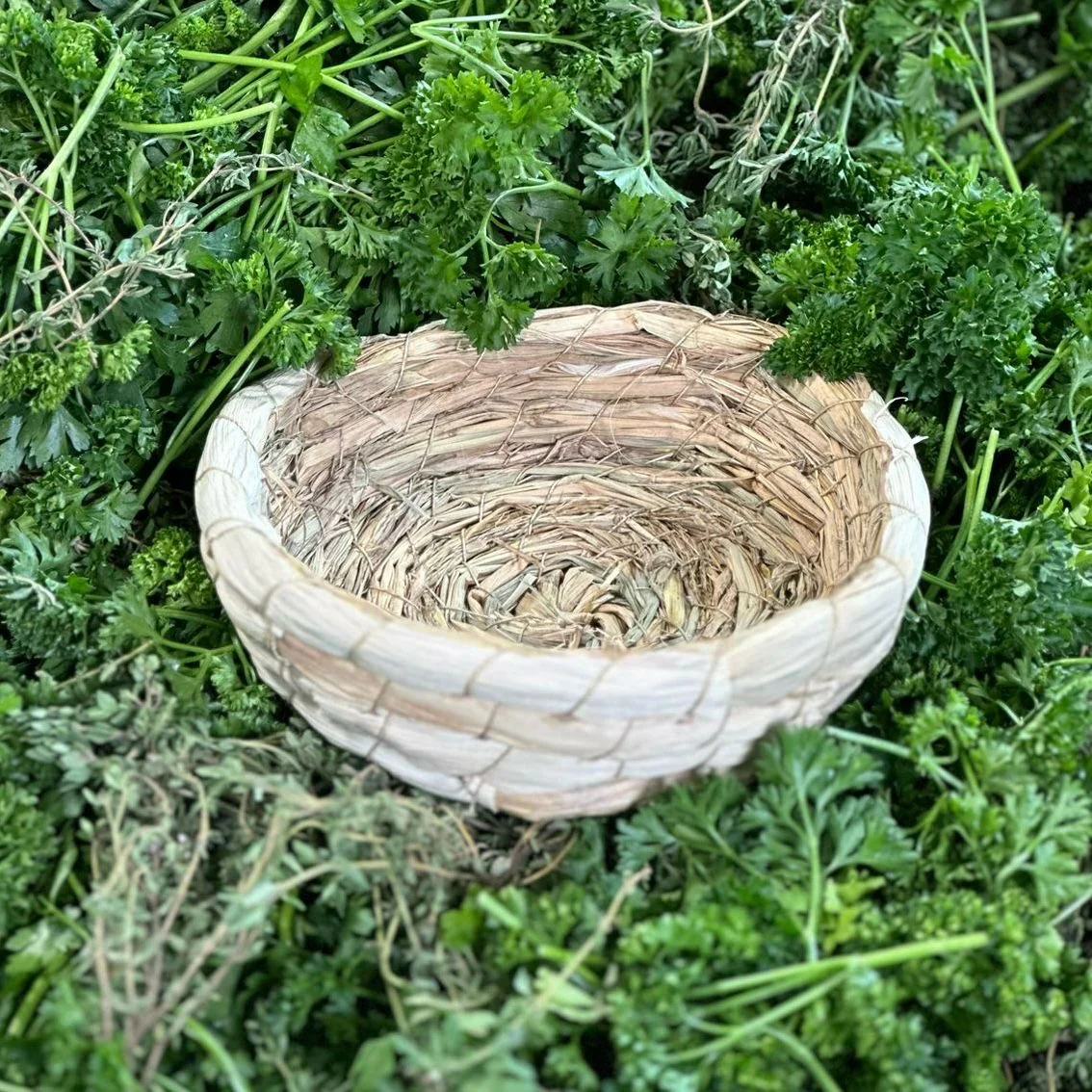 Vorschaubild 2