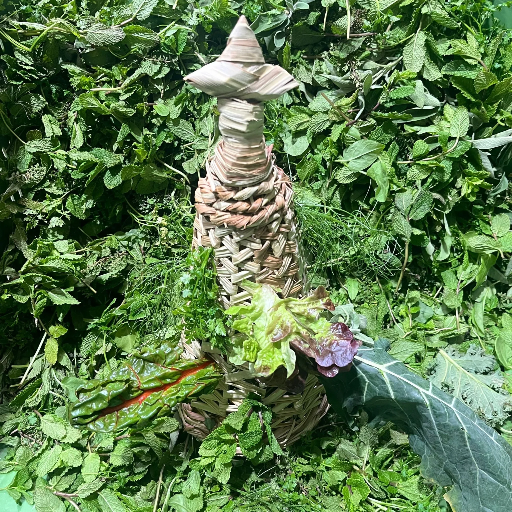 Vorschaubild 2